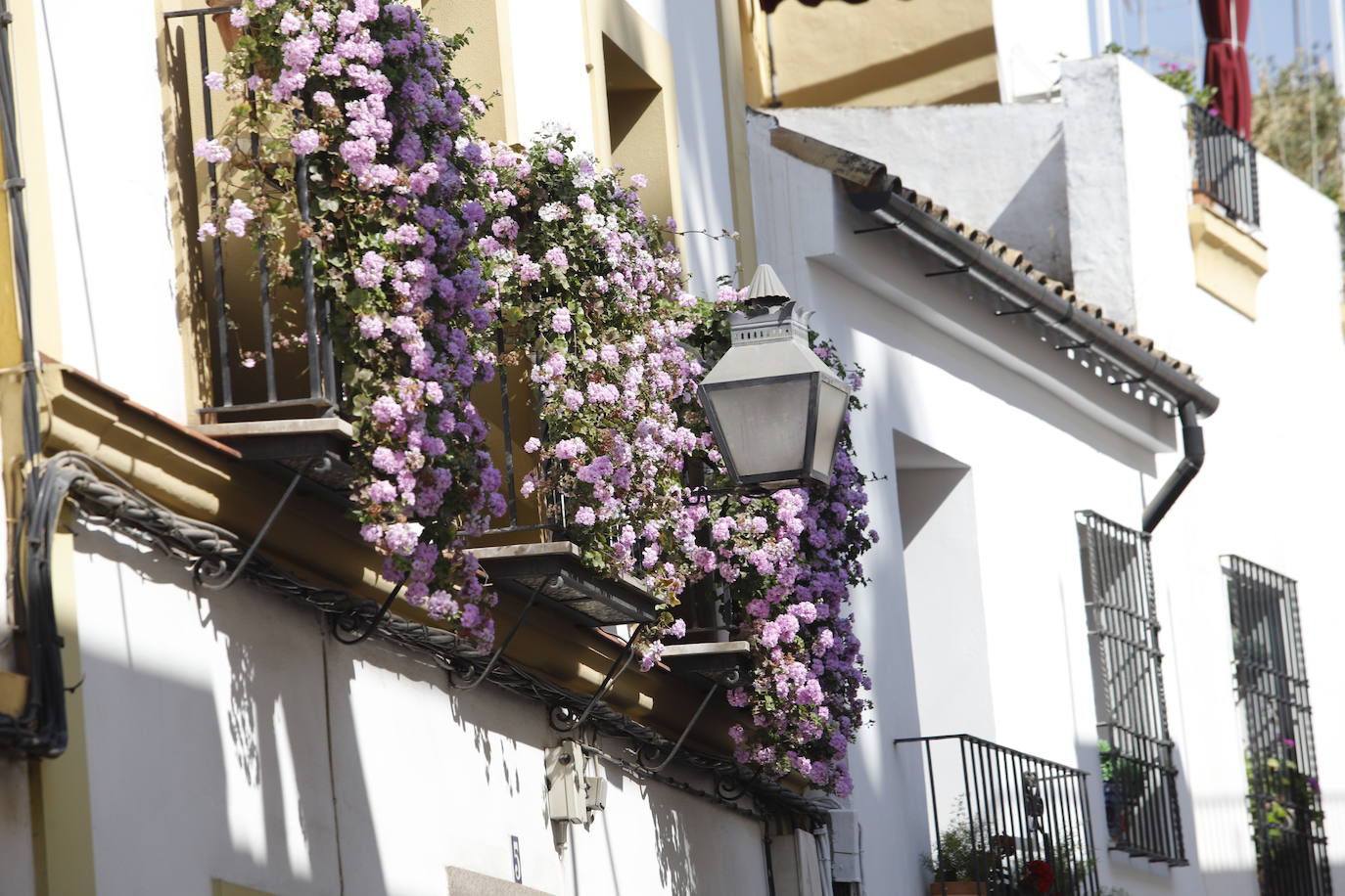 Patios de Córdoba 2022 | El concurso de Rejas y Balcones, en imágenes