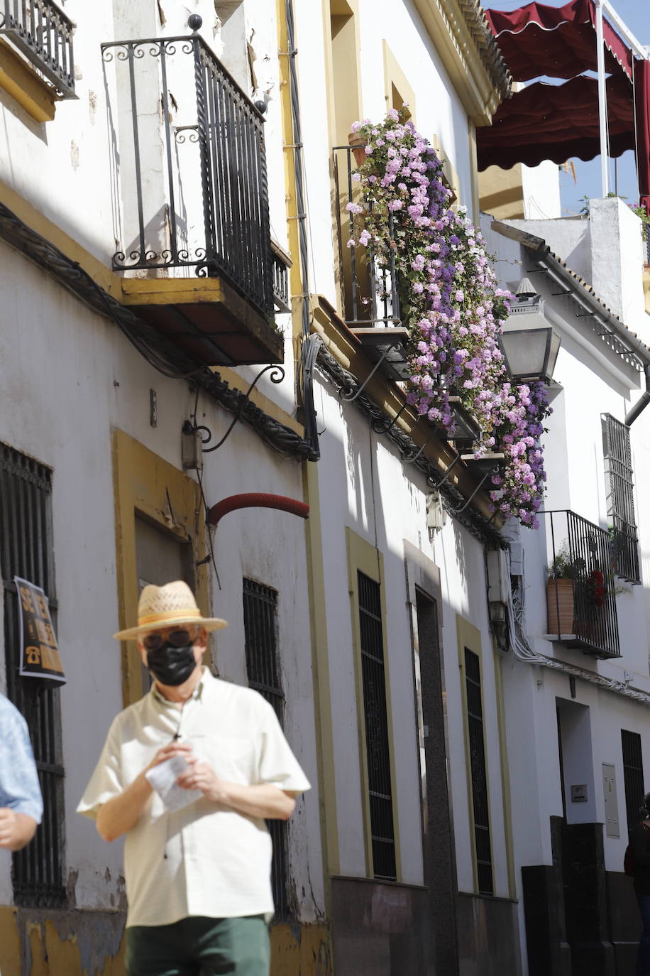 Patios de Córdoba 2022 | El concurso de Rejas y Balcones, en imágenes