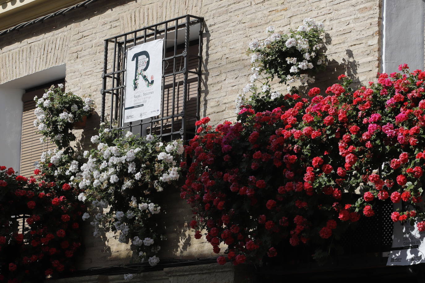 Patios de Córdoba 2022 | El concurso de Rejas y Balcones, en imágenes