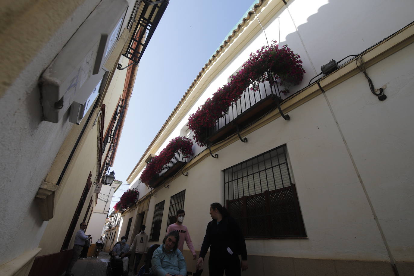 Patios de Córdoba 2022 | El concurso de Rejas y Balcones, en imágenes