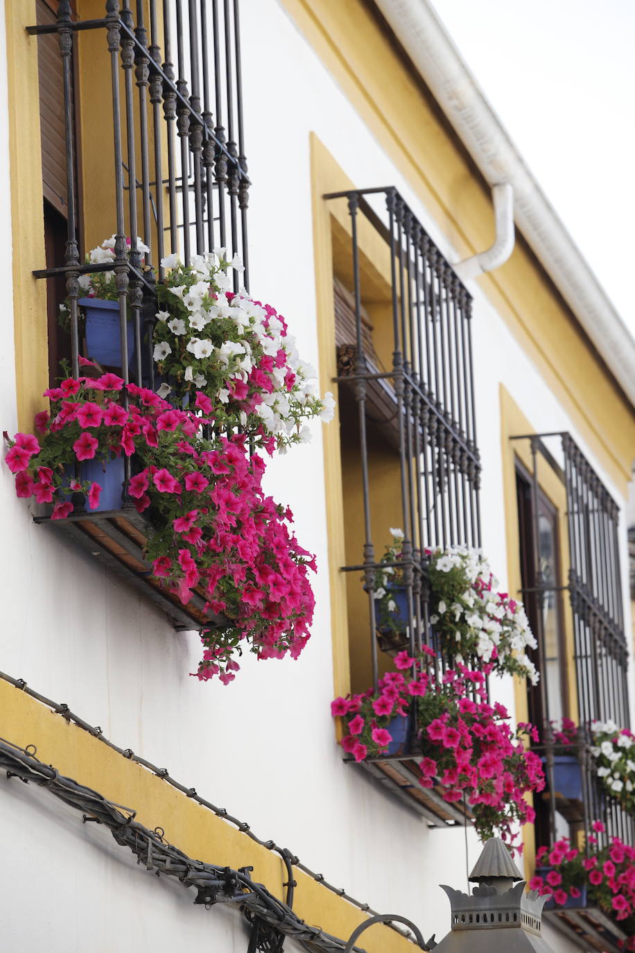 Patios de Córdoba 2022 | El concurso de Rejas y Balcones, en imágenes