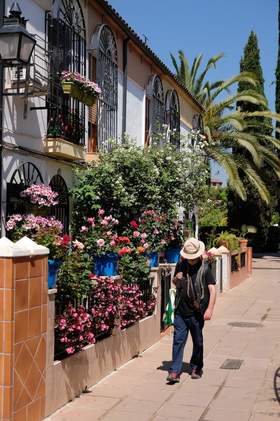 Patios de Córdoba 2022 | El concurso de Rejas y Balcones, en imágenes