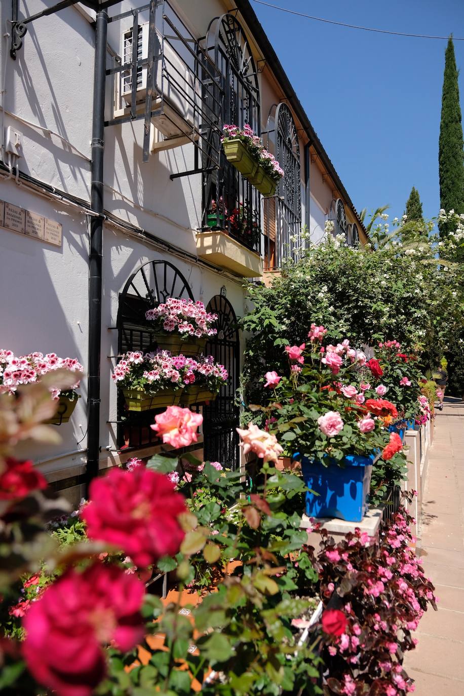 Patios de Córdoba 2022 | El concurso de Rejas y Balcones, en imágenes