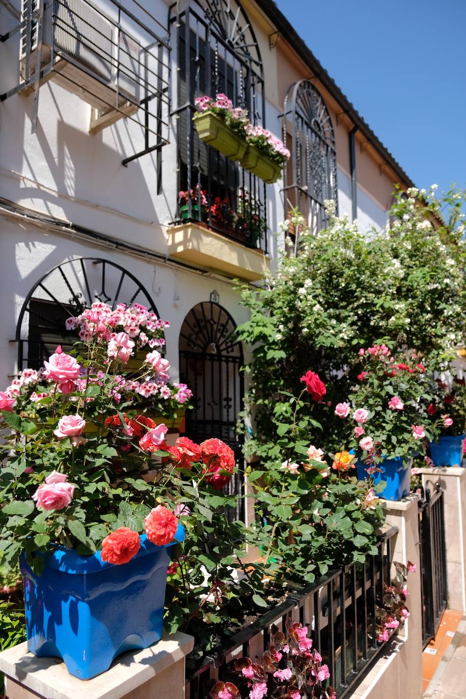 Patios de Córdoba 2022 | El concurso de Rejas y Balcones, en imágenes