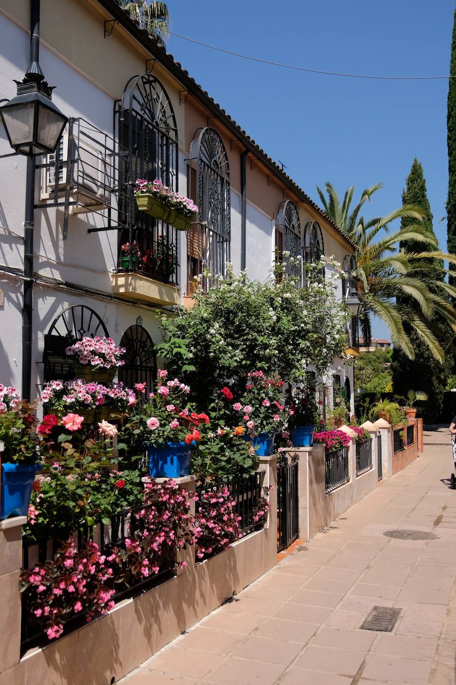 Patios de Córdoba 2022 | El concurso de Rejas y Balcones, en imágenes