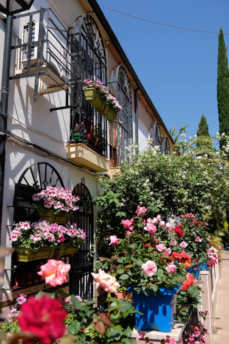 Patios de Córdoba 2022 | El concurso de Rejas y Balcones, en imágenes