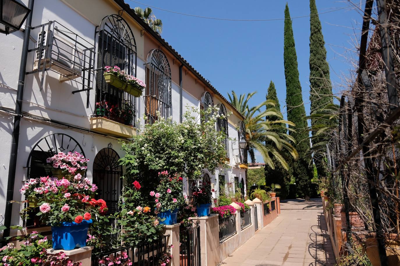 Patios de Córdoba 2022 | El concurso de Rejas y Balcones, en imágenes