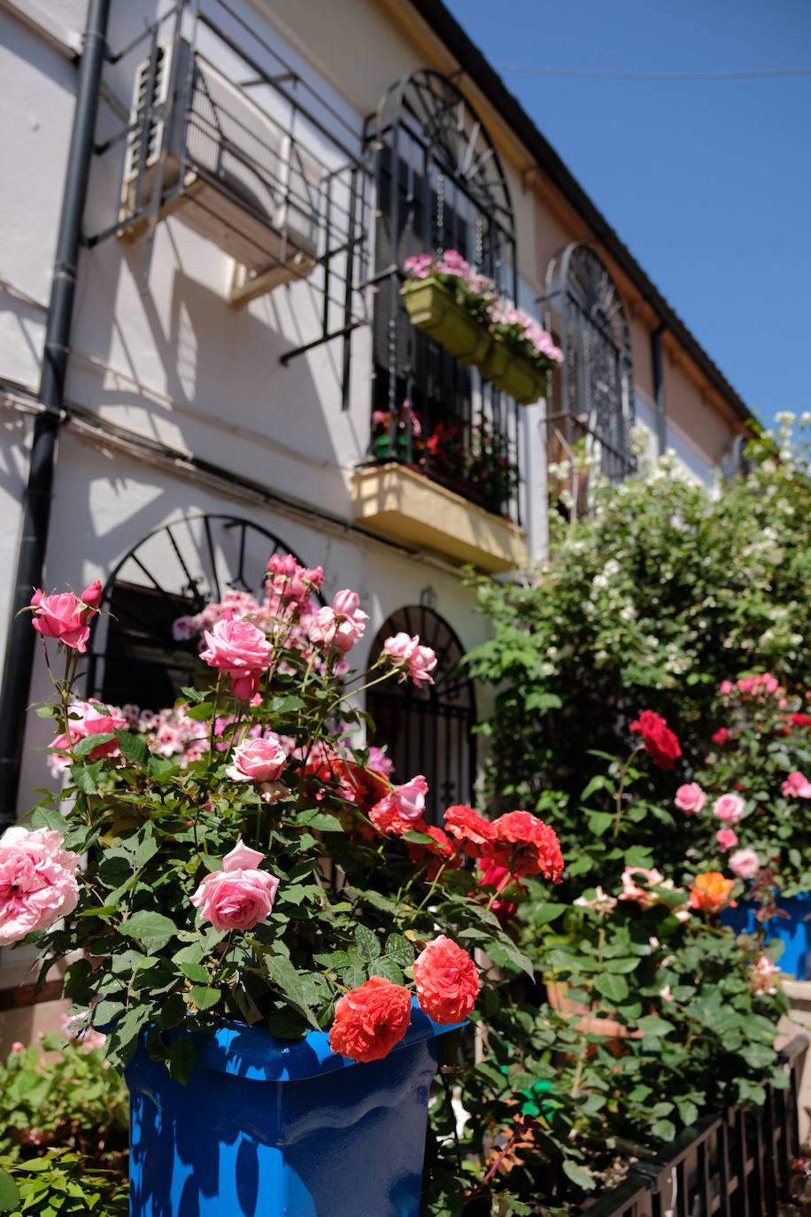 Patios de Córdoba 2022 | El concurso de Rejas y Balcones, en imágenes