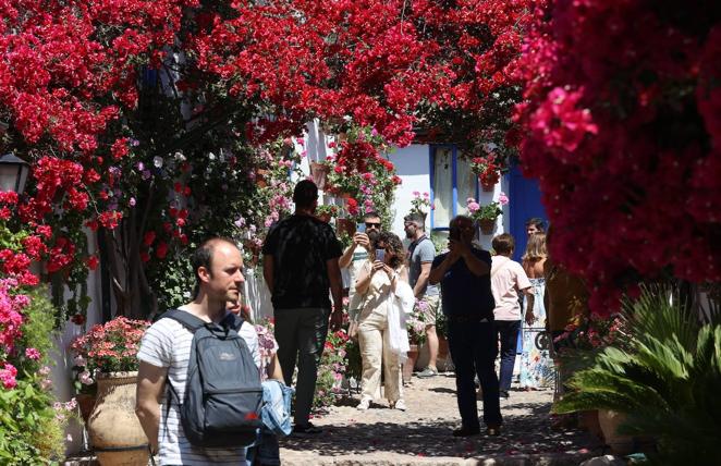 Patios de Córdoba 2022 | Las largas colas y el ambiente del fin de semana, en imágenes
