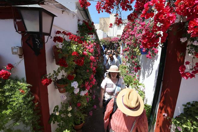 Patios de Córdoba 2022 | Las largas colas y el ambiente del fin de semana, en imágenes