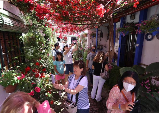 Patios de Córdoba 2022 | Las largas colas y el ambiente del fin de semana, en imágenes