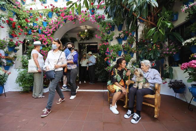 Patios de Córdoba 2022 | La ruta de San Pedro y Santiago, en imágenes