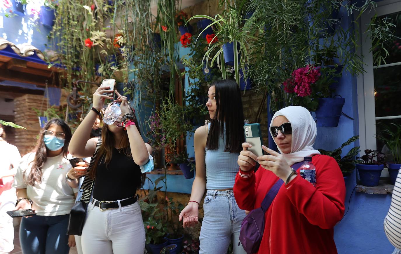 La ruta de patios de San Lorenzo de Córdoba, en imágenes