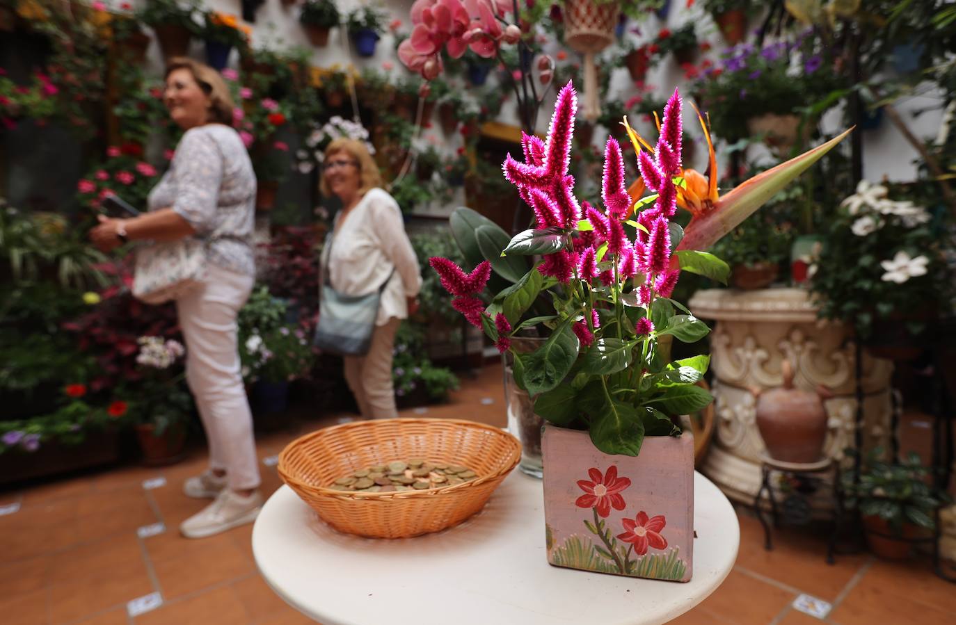 La ruta de patios de San Lorenzo de Córdoba, en imágenes