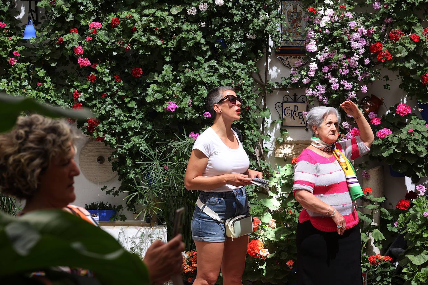 La ruta de patios de San Lorenzo de Córdoba, en imágenes