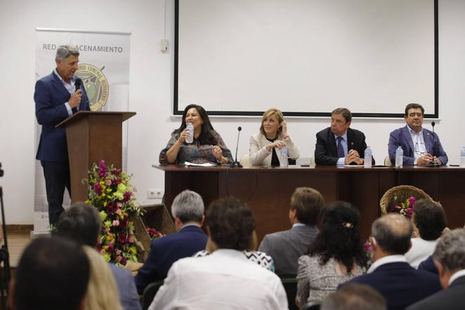 La inauguración de la Feria del Olivo de Montoro, en imágenes