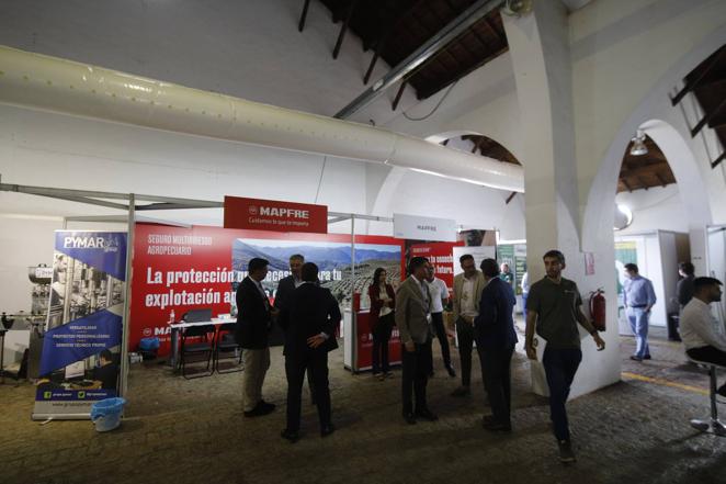 La inauguración de la Feria del Olivo de Montoro, en imágenes