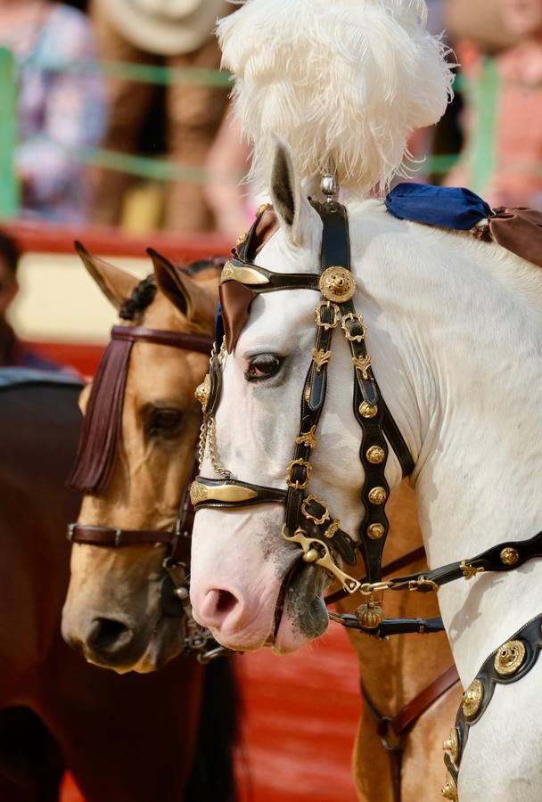 Fotos: Sergio Galán, Rui Fernandes y Diego Ventura en la Feria de Jerez 2022