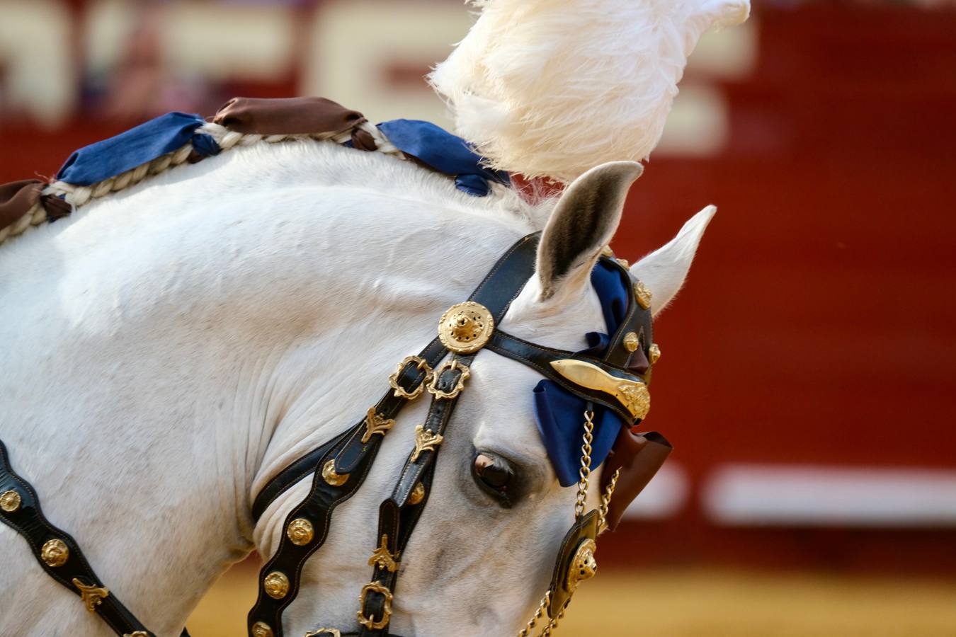 Fotos: Sergio Galán, Rui Fernandes y Diego Ventura en la Feria de Jerez 2022