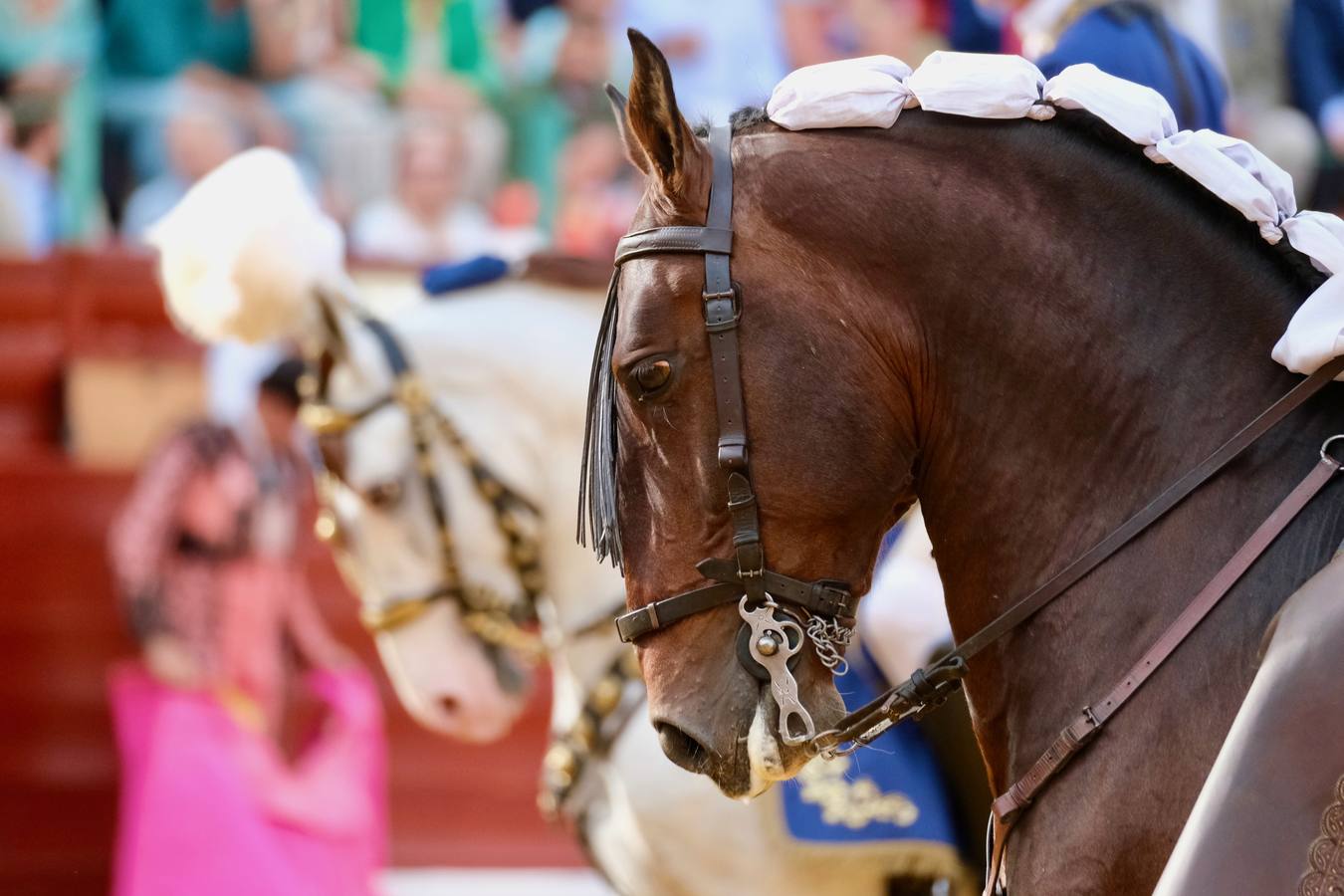 Fotos: Sergio Galán, Rui Fernandes y Diego Ventura en la Feria de Jerez 2022