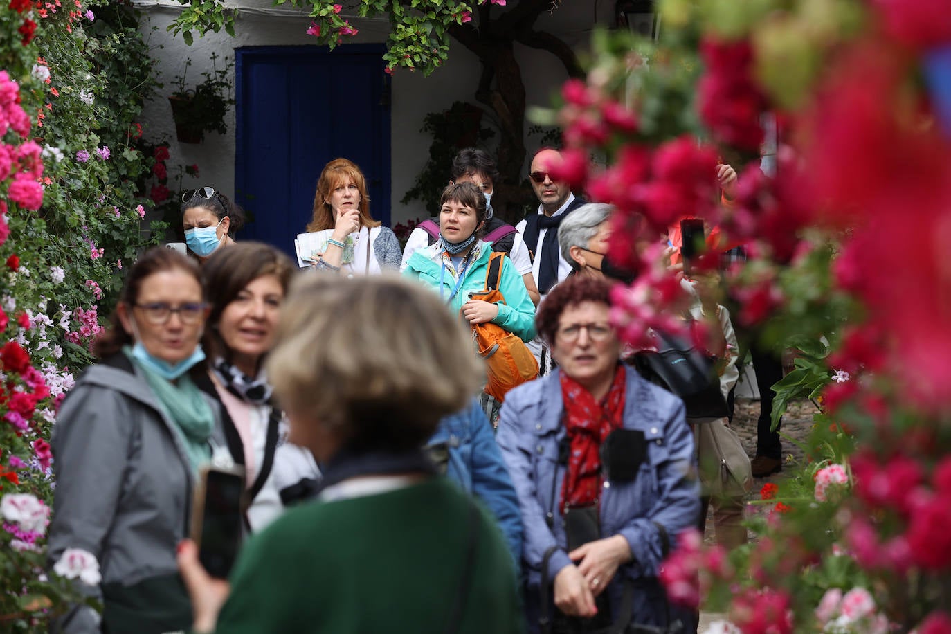 Patios de Córdoba 2022 | Las mejores imágenes de los recintos ganadores