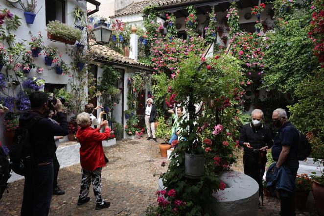 Patios de Córdoba 2022  | Tinte, 9 y Pastora, 2 ganan el Concurso y Maese Luis, 22, Mención de Honor