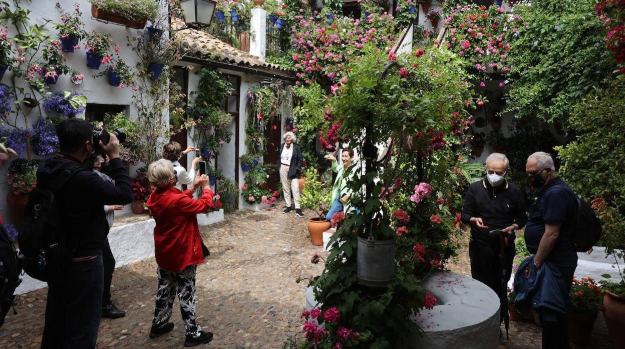 Patios de Córdoba 2022 | Las mejores imágenes de los recintos ganadores