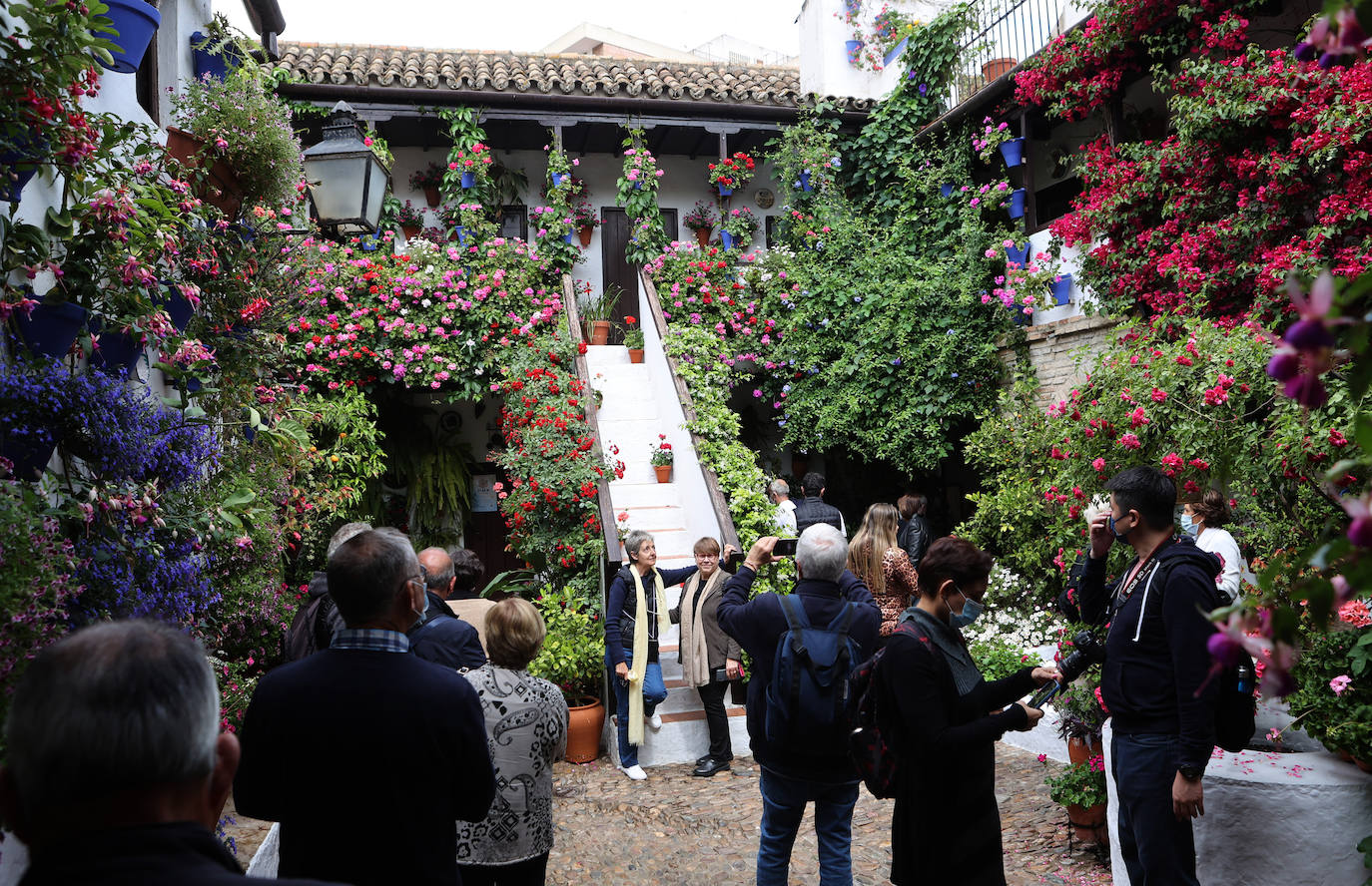 Patios de Córdoba 2022 | Las mejores imágenes de los recintos ganadores