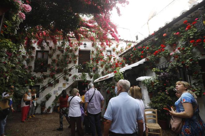 En imágenes, el ambientazo del sábado de Patios en Córdoba
