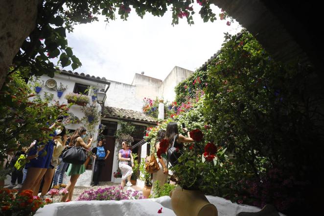 En imágenes, el ambientazo del sábado de Patios en Córdoba