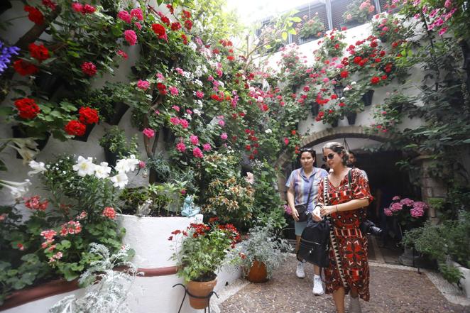 En imágenes, el ambientazo del sábado de Patios en Córdoba