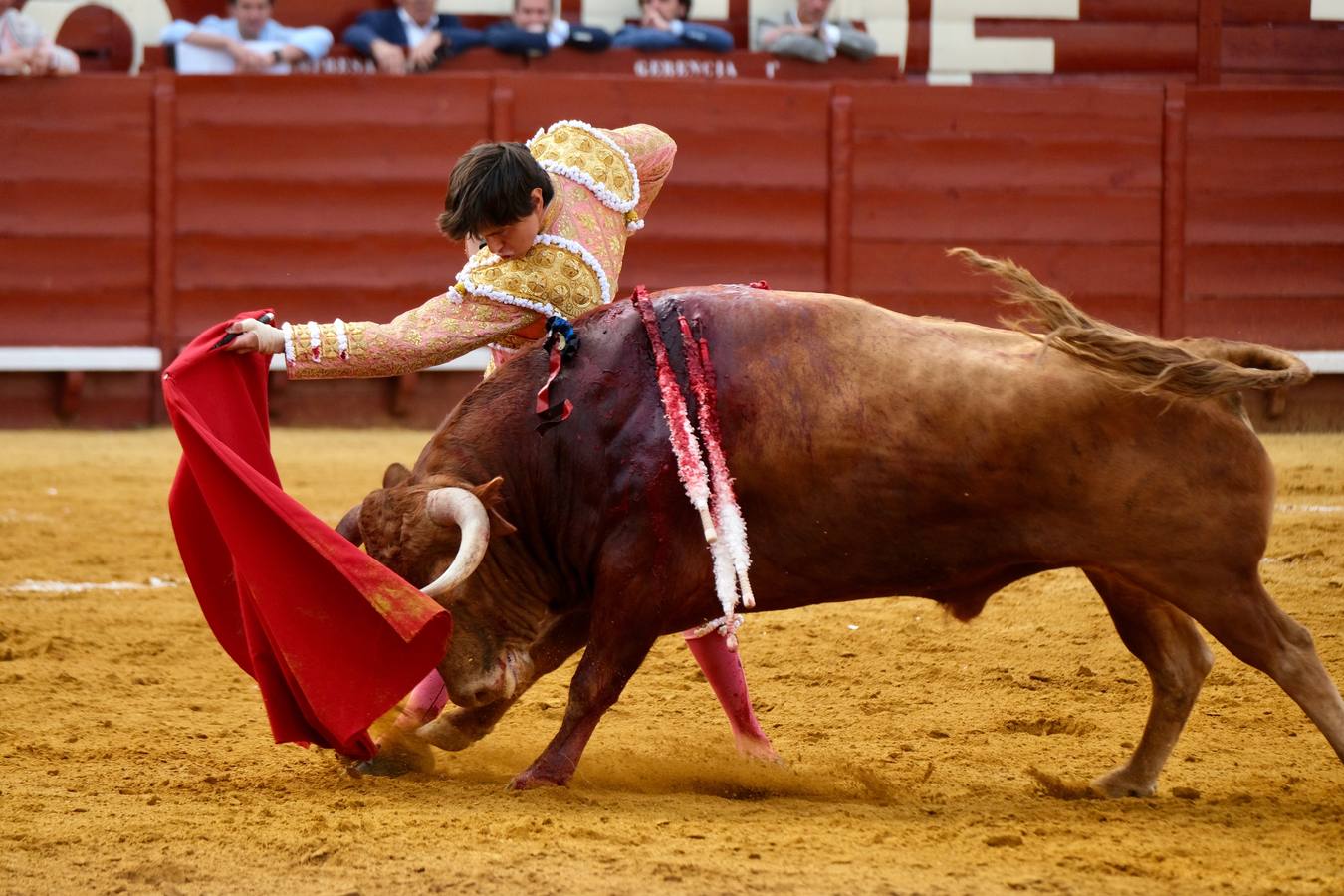 Toros: Morante, Roca Rey y Juan Ortega en la Feria de Jerez 2022