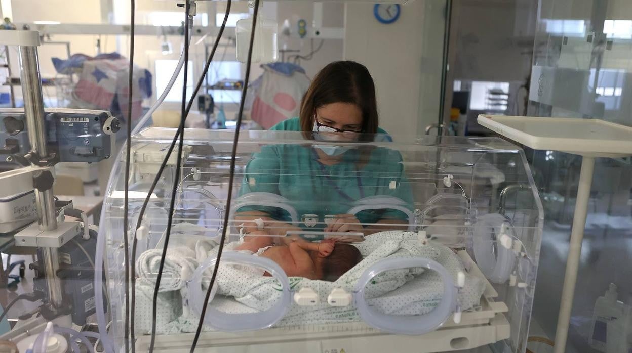 El Banco de Leche del Hospital Reina Sofía, en imágenes