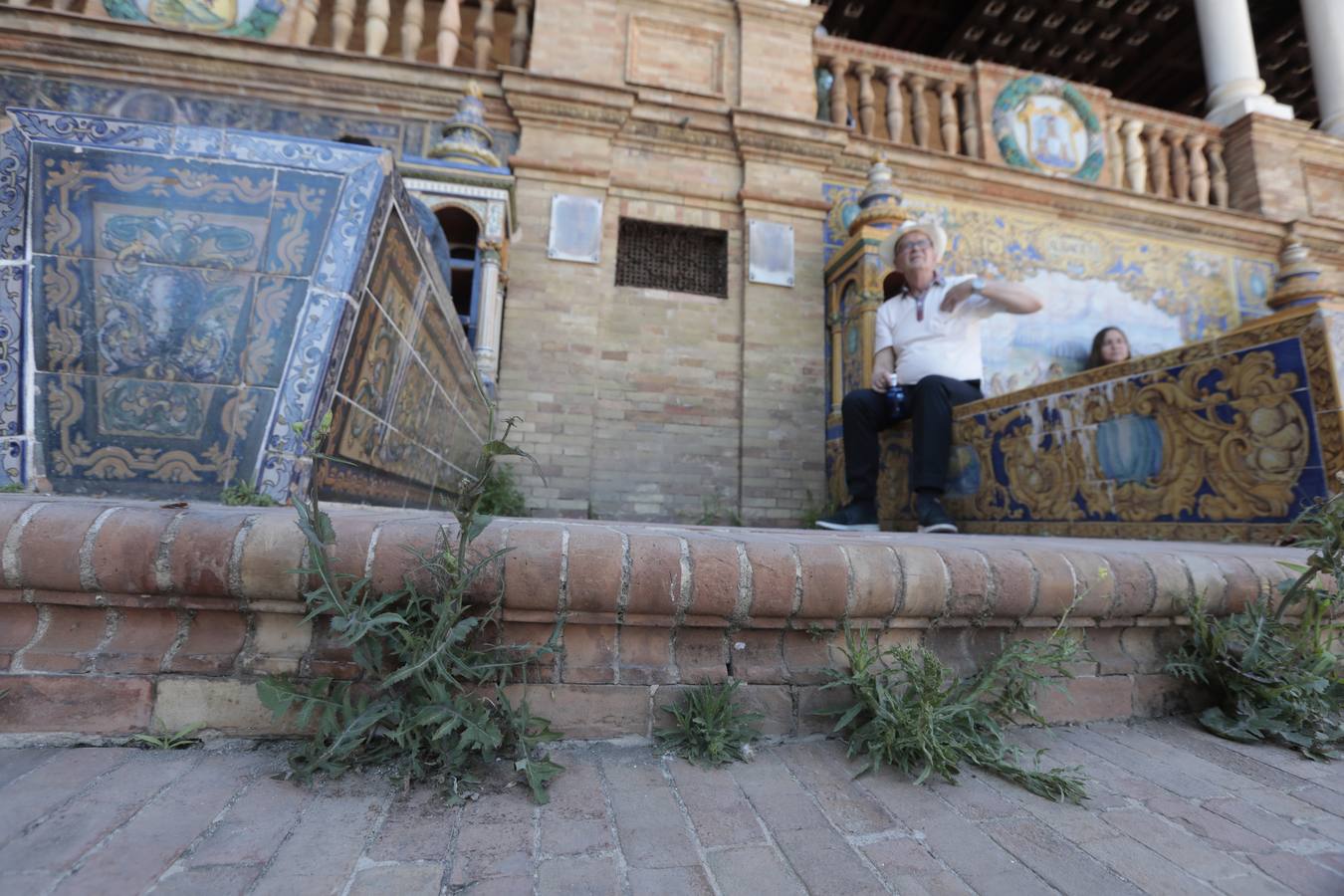 La maleza abunda en las principales zonas turísticas de la ciudad. RAÚL DOBLADO