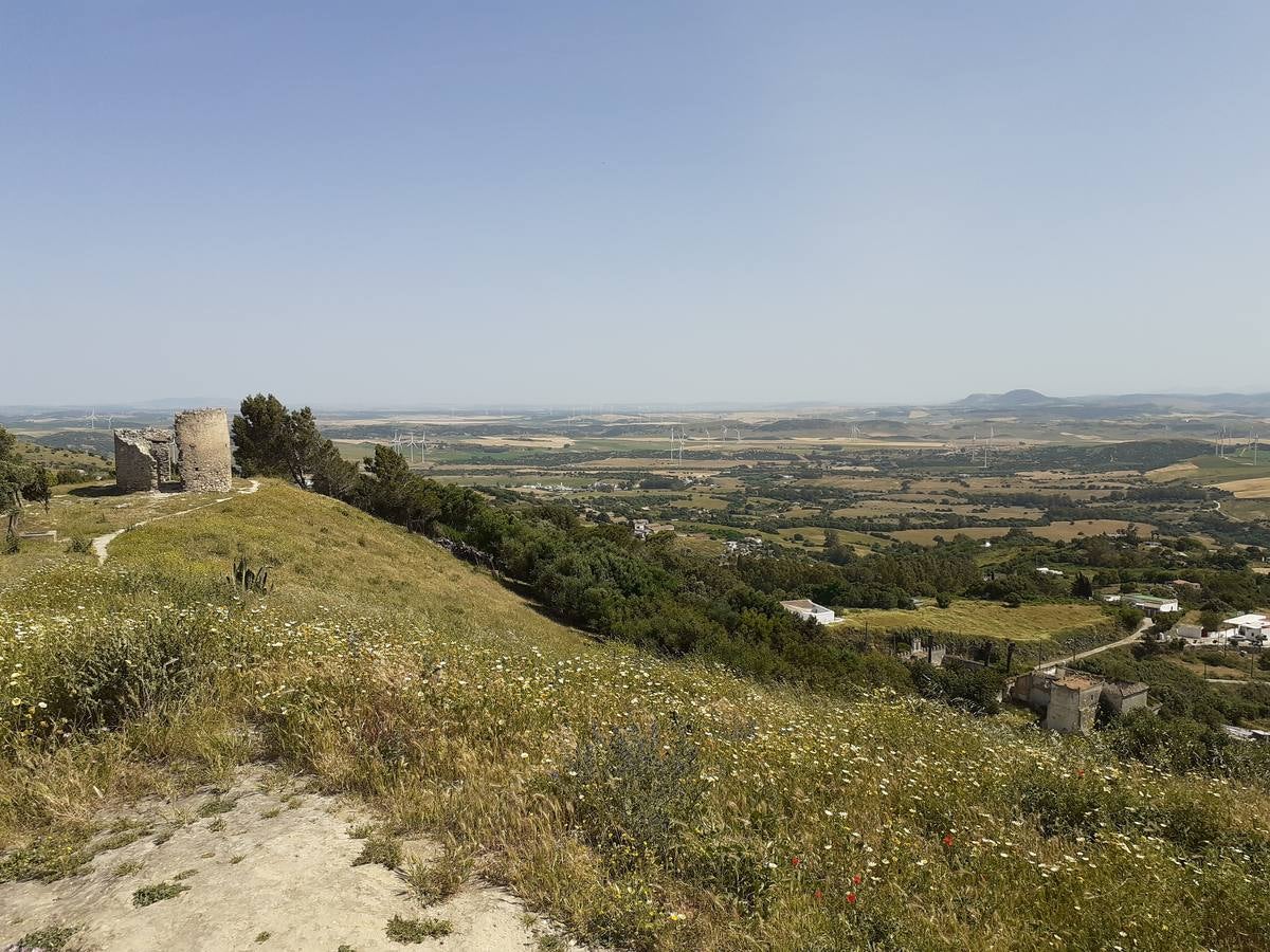 Fotos: Medina Sidonia, en imágenes