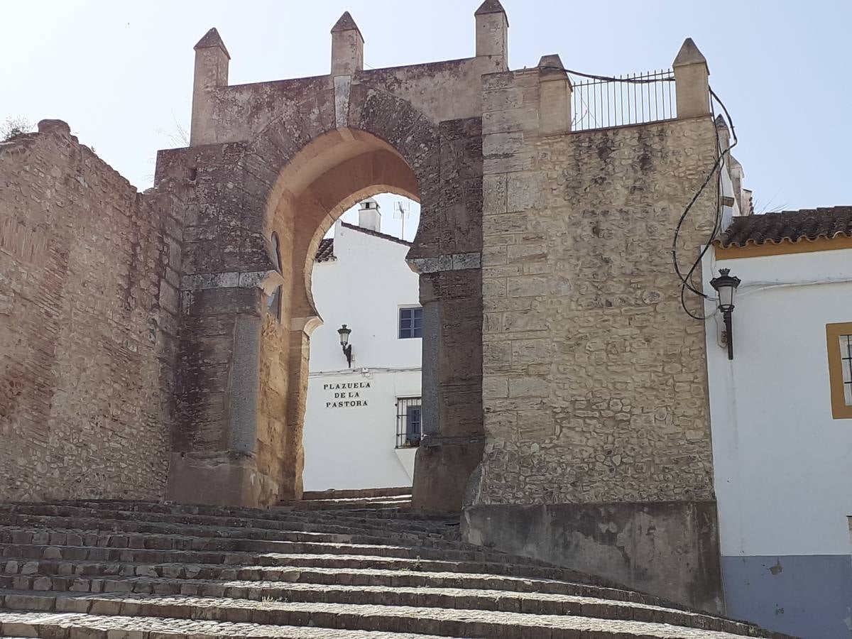 Fotos: Medina Sidonia, en imágenes