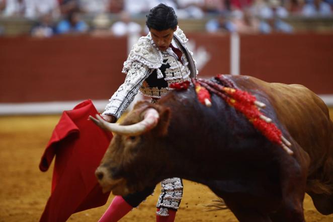 La primera corrida de toros de la Feria de Córdoba, en imágenes