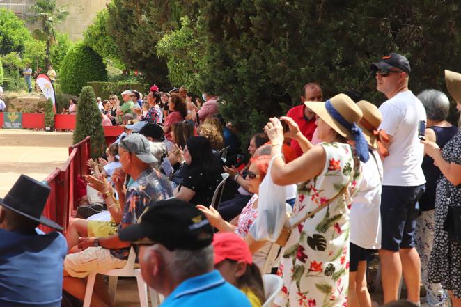 La VIII Exhibición de Carruajes de Tradición de Córdoba, en imágenes