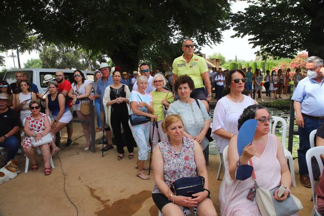 La VIII Exhibición de Carruajes de Tradición de Córdoba, en imágenes