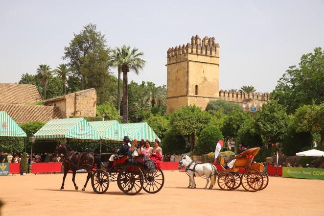 La VIII Exhibición de Carruajes de Tradición de Córdoba, en imágenes