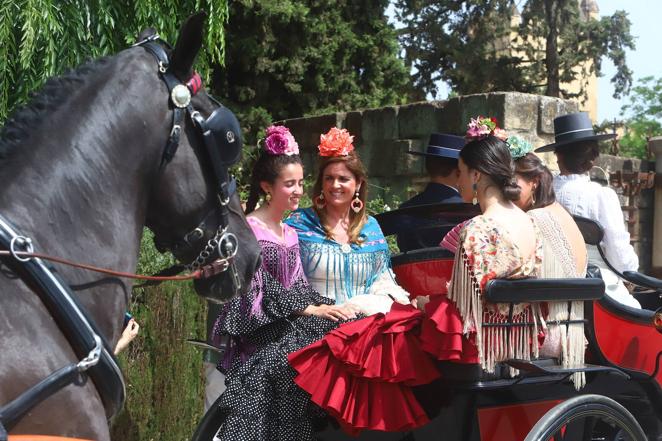 La VIII Exhibición de Carruajes de Tradición de Córdoba, en imágenes