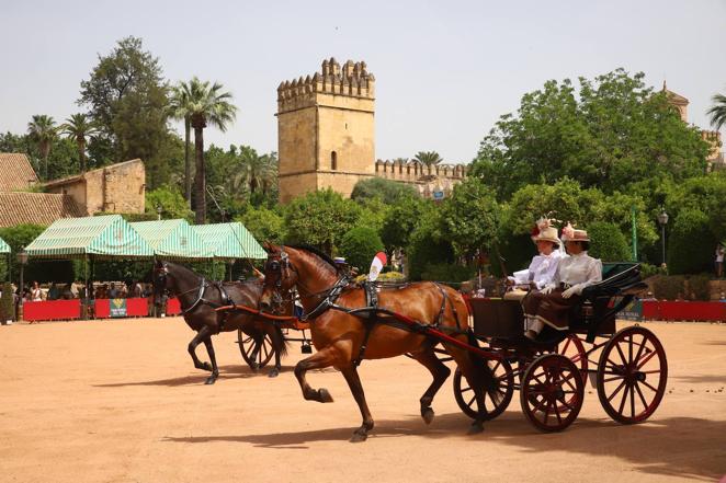 La VIII Exhibición de Carruajes de Tradición de Córdoba, en imágenes