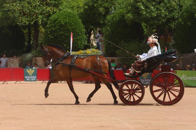 La VIII Exhibición de Carruajes de Tradición de Córdoba, en imágenes