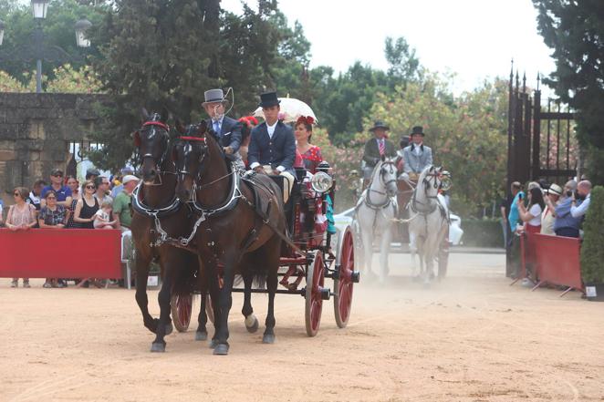 La VIII Exhibición de Carruajes de Tradición de Córdoba, en imágenes