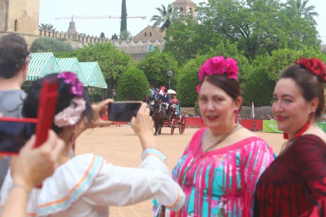 La VIII Exhibición de Carruajes de Tradición de Córdoba, en imágenes