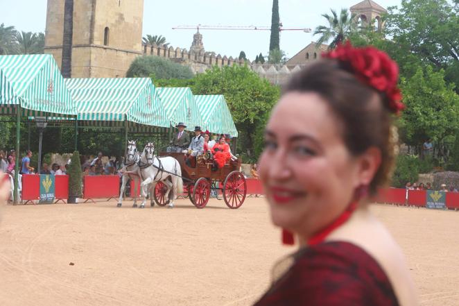 La VIII Exhibición de Carruajes de Tradición de Córdoba, en imágenes