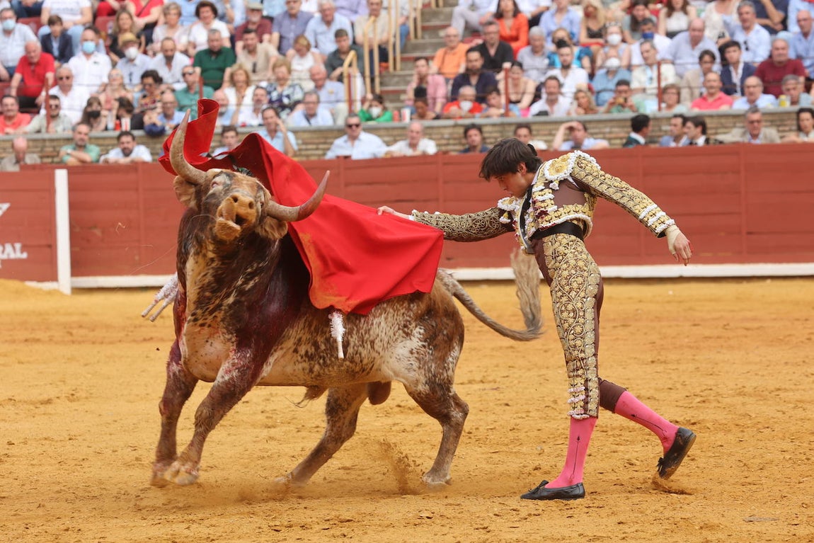 El gran triunfo de Roca Rey y Lagartijo en Córdoba, en imágenes