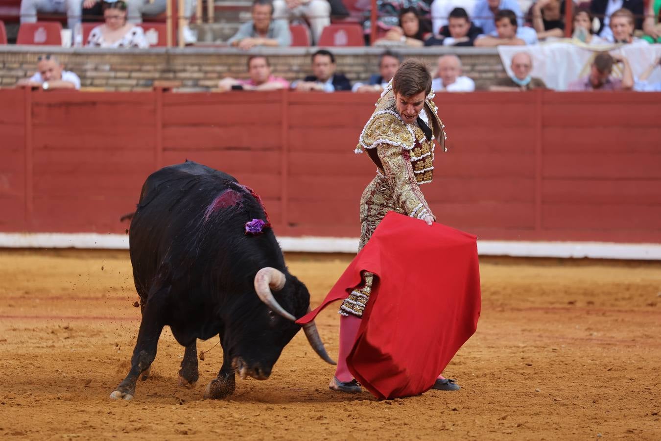 La novillada del domingo en la Feria de Córdoba, en imágenes