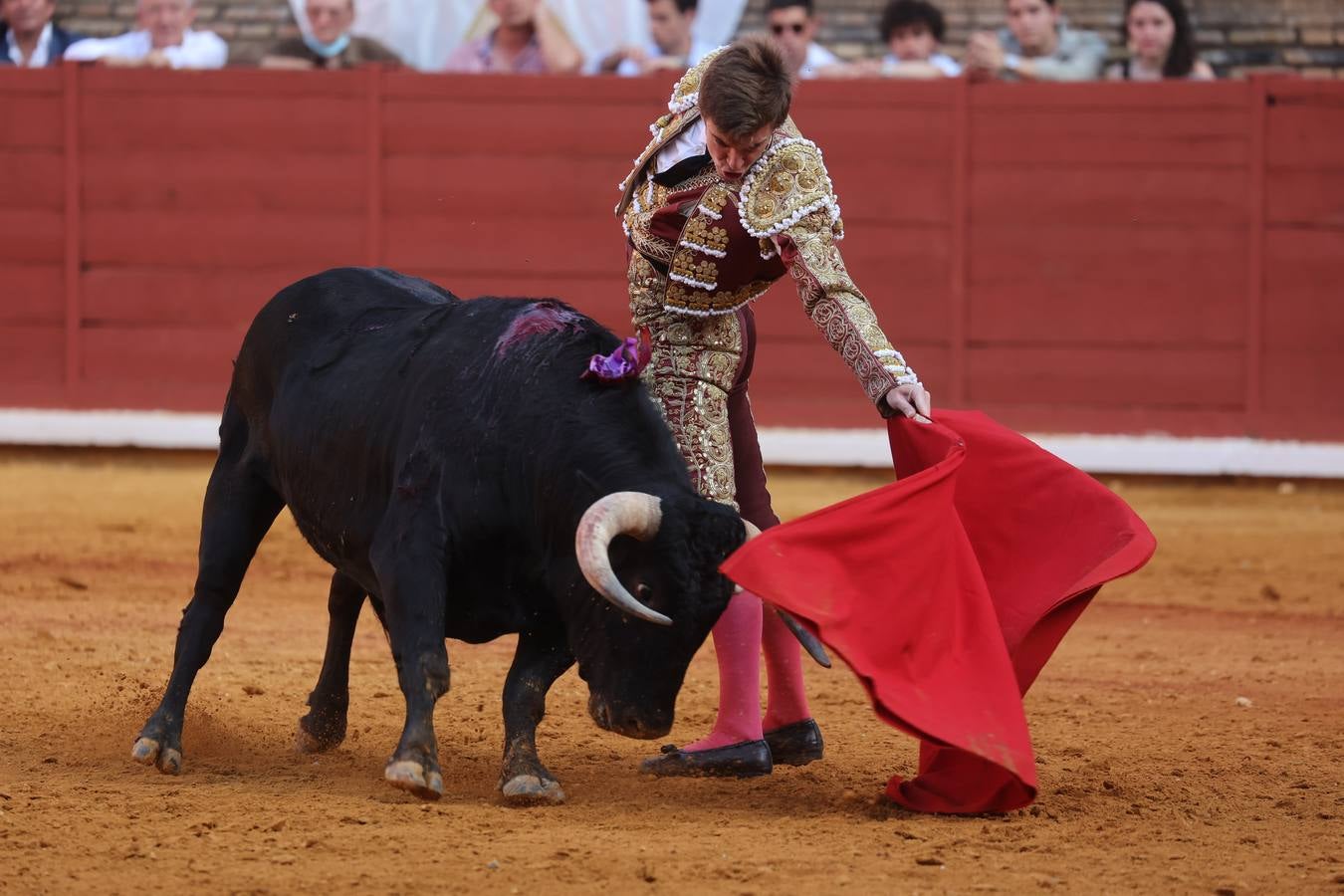 La novillada del domingo en la Feria de Córdoba, en imágenes