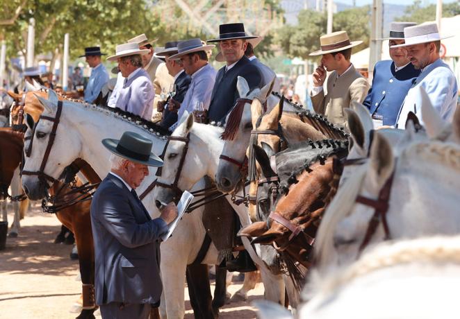 Feria Córdoba 2022 | El concurso ecuestre y los caballistas, en imágenes